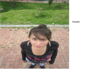 PICADO