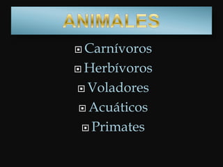  Carnívoros
 Herbívoros
 Voladores
 Acuáticos
 Primates
 