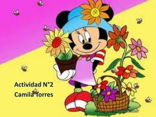 Actividad N°2
Camila Torres
 