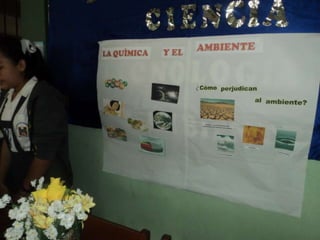 Presentación2