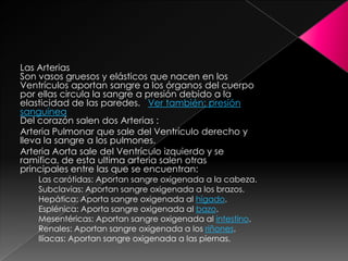 Las Arterias
Son vasos gruesos y elásticos que nacen en los
Ventrículos aportan sangre a los órganos del cuerpo
por ellas circula la sangre a presión debido a la
elasticidad de las paredes. Ver también: presión
sanguínea
Del corazón salen dos Arterias :
Arteria Pulmonar que sale del Ventrículo derecho y
lleva la sangre a los pulmones.
Arteria Aorta sale del Ventrículo izquierdo y se
ramifica, de esta ultima arteria salen otras
principales entre las que se encuentran:
Las carótidas: Aportan sangre oxigenada a la cabeza.
Subclavias: Aportan sangre oxigenada a los brazos.
Hepática: Aporta sangre oxigenada al hígado.
Esplénica: Aporta sangre oxigenada al bazo.
Mesentéricas: Aportan sangre oxigenada al intestino.
Renales: Aportan sangre oxigenada a los riñones.
Ilíacas: Aportan sangre oxigenada a las piernas.
 