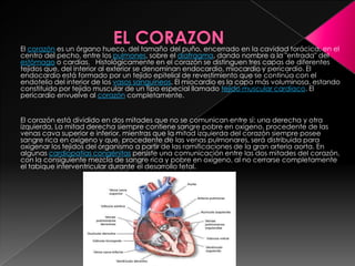 El corazón es un órgano hueco, del tamaño del puño, encerrado en la cavidad torácica, en el
centro del pecho, entre los pulmones, sobre el diafragma, dando nombre a la "entrada" del
estómago o cardias. Histológicamente en el corazón se distinguen tres capas de diferentes
tejidos que, del interior al exterior se denominan endocardio, miocardio y pericardio. El
endocardio está formado por un tejido epitelial de revestimiento que se continúa con el
endotelio del interior de los vasos sanguíneos. El miocardio es la capa más voluminosa, estando
constituido por tejido muscular de un tipo especial llamado tejido muscular cardíaco. El
pericardio envuelve al corazón completamente.
El corazón está dividido en dos mitades que no se comunican entre sí: una derecha y otra
izquierda, La mitad derecha siempre contiene sangre pobre en oxígeno, procedente de las
venas cava superior e inferior, mientras que la mitad izquierda del corazón siempre posee
sangre rica en oxígeno y que, procedente de las venas pulmonares, será distribuida para
oxigenar los tejidos del organismo a partir de las ramificaciones de la gran arteria aorta. En
algunas cardiopatías congénitas persiste una comunicación entre las dos mitades del corazón,
con la consiguiente mezcla de sangre rica y pobre en oxígeno, al no cerrarse completamente
el tabique interventricular durante el desarrollo fetal.
 