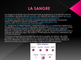 La sangre es el fluido que circula por todo el organismo a través del sistema
circulatorio, formado por el corazón y un sistema de tubos o vasos, los vasos
sanguíneos. Pulsa aquí para ver y oír otra divertida explicación.
La sangre describe dos circuitos complementarios llamados circulación
mayor o general y menor o pulmonar... pulsa aquí para más
información, con interesantes animaciones
La sangre es un tejido líquido, compuesto por agua y sustancias orgánicas e
inorgánicas (sales minerales) disueltas, que forman el plasma sanguíneo y tres
tipos de elementos formes o células sanguíneas: glóbulos rojos, glóbulos
blancos y plaquetas. Una gota de sangre contiene aproximadamente unos 5
millones de glóbulos rojos, de 5.000 a 10.000 glóbulos blancos y alrededor de
250.000 plaquetas.
El plasma sanguíneo es la parte líquida de la sangre. Es salado, de color
amarillento y en él flotan los demás componentes de la sangre, también
lleva los alimentos y las sustancias de desecho recogidas de las células. El
plasma cuando se coagula la sangre, origina el suero sanguíneo.
 