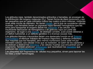 Los glóbulos rojos, también denominados eritrocitos o hematíes, se encargan de
la distribución del oxígeno molecular (O2). Tienen forma de disco bicóncavo y son
tan pequeños que en cada milímetro cubico hay cuatro a cinco millones, midiendo
unas siete micras de diámetro. No tienen núcleo, por lo que se consideran células
muertas. Los hematíes tienen un pigmento rojizo llamado hemoglobina que les
sirve para transportar el oxígeno desde los pulmones a las células. Una
insuficiente fabricación de hemoglobina o de glóbulos rojos por parte del
organismo, da lugar a una anemia, de etiología variable, pues puede deberse a
un déficit nutricional, a un defecto genético o a diversas causas más.
Los glóbulos blancos o leucocitos tienen una destacada función en el Sistema
Inmunológico al efectuar trabajos de limpieza (fagocitos) y defensa (linfocitos).
Son mayores que los hematíes, pero menos numerosos (unos siete mil por
milímetro cúbico), son células vivas que se trasladan, se salen de los capilares y
se dedican a destruir los microbios y las células muertas que encuentran por el
organismo. También producen anticuerpos que neutralizan los microbios que
producen las enfermedades infecciosas.
Las plaquetas son fragmentos de células muy pequeños, sirven para taponar las
he ridas y evitar hemorragias.
 