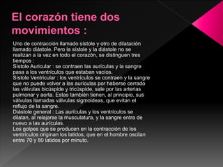 Uno de contracción llamado sístole y otro de dilatación
llamado diástole. Pero la sístole y la diástole no se
realizan a la vez en todo el corazón, se distinguen tres
tiempos :
Sístole Auricular : se contraen las aurículas y la sangre
pasa a los ventrículos que estaban vacíos.
Sístole Ventricular : los ventrículos se contraen y la sangre
que no puede volver a las aurículas por haberse cerrado
las válvulas bicúspide y tricúspide, sale por las arterias
pulmonar y aorta. Estas también tienen, al principio, sus
válvulas llamadas válvulas sigmoideas, que evitan el
reflujo de la sangre.
Diástole general : Las aurículas y los ventrículos se
dilatan, al relajarse la musculatura, y la sangre entra de
nuevo a las aurículas.
Los golpes que se producen en la contracción de los
ventrículos originan los latidos, que en el hombre oscilan
entre 70 y 80 latidos por minuto.
 