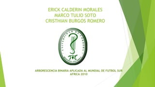 ERICK CALDERIN MORALES
MARCO TULIO SOTO
CRISTHIAN BURGOS ROMERO
ARBORESCENCIA BINARIA APLICADA AL MUNDIAL DE FUTBOL SUR
AFRICA 2010
 