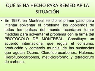 • En 1987, en Montreal se dio el primer paso para
intentar solventar el problema, los gobiernos de
todos los países del mundo acordaron tomar
medidas para solventar el problema con la firma del
PROTOCOLO DE MONTREAL. Constituye un
acuerdo internacional que regula el consumo,
producción y comercio mundial de las sustancias
que agotan Ozono: Clorofluorocarbonos, Halones,
Hidrofluorocarbonos, metilcloroformo y tetracloruro
de carbono.
QUÉ SE HA HECHO PARA REMEDIAR LA
SITUACIÓN
 