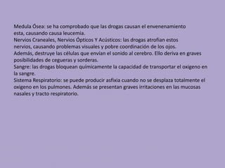 Medula Ósea: se ha comprobado que las drogas causan el envenenamiento
esta, causando causa leucemia.
Nervios Craneales, Nervios Ópticos Y Acústicos: las drogas atrofian estos
nervios, causando problemas visuales y pobre coordinación de los ojos.
Además, destruye las células que envían el sonido al cerebro. Ello deriva en graves
posibilidades de cegueras y sorderas.
Sangre: las drogas bloquean químicamente la capacidad de transportar el oxigeno en
la sangre.
Sistema Respiratorio: se puede producir asfixia cuando no se desplaza totalmente el
oxigeno en los pulmones. Además se presentan graves irritaciones en las mucosas
nasales y tracto respiratorio.
 