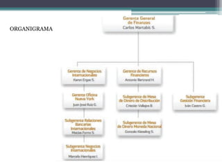ORGANIGRAMA

 