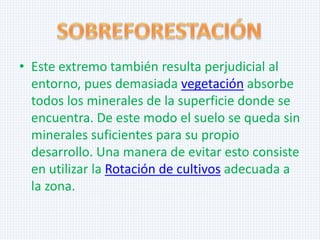 • Este extremo también resulta perjudicial al
entorno, pues demasiada vegetación absorbe
todos los minerales de la superficie donde se
encuentra. De este modo el suelo se queda sin
minerales suficientes para su propio
desarrollo. Una manera de evitar esto consiste
en utilizar la Rotación de cultivos adecuada a
la zona.

 