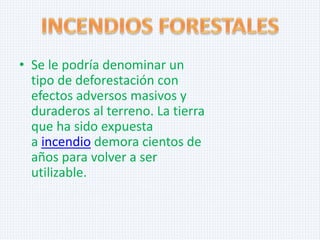 • Se le podría denominar un
tipo de deforestación con
efectos adversos masivos y
duraderos al terreno. La tierra
que ha sido expuesta
a incendio demora cientos de
años para volver a ser
utilizable.

 