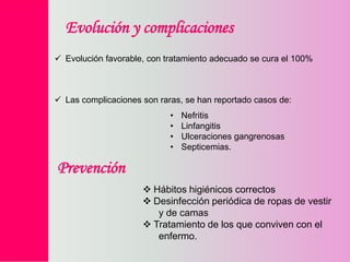 Evolución y complicaciones
 Evolución favorable, con tratamiento adecuado se cura el 100%

 Las complicaciones son raras, se han reportado casos de:
•
•
•
•

Nefritis
Linfangitis
Ulceraciones gangrenosas
Septicemias.

Prevención
 Hábitos higiénicos correctos
 Desinfección periódica de ropas de vestir
y de camas
 Tratamiento de los que conviven con el
enfermo.

 