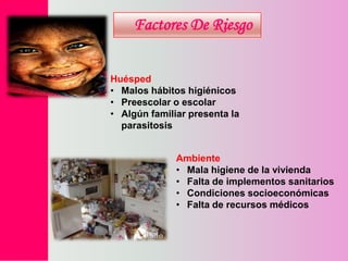 Factores De Riesgo
Huésped
• Malos hábitos higiénicos
• Preescolar o escolar
• Algún familiar presenta la
parasitosis
Ambiente
• Mala higiene de la vivienda
• Falta de implementos sanitarios
• Condiciones socioeconómicas
• Falta de recursos médicos

 