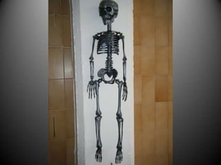 ¡¡¡DEMASIADOS HUESOS!!