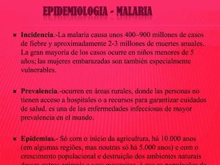 EPIDEMIOLOGIA - MALARIA


Incidencia.-La malaria causa unos 400–900 millones de casos
de fiebre y aproximadamente 2-3 millones de muertes anuales.
La gran mayoría de los casos ocurre en niños menores de 5
años; las mujeres embarazadas son también especialmente
vulnerables.



Prevalencia.-ocurren en áreas rurales, donde las personas no
tienen acceso a hospitales o a recursos para garantizar cuidados
de salud. es una de las enfermedades infecciosas de mayor
prevalencia en el mundo.



Epidemias.- Só com o início da agricultura, há 10.000 anos
(em algumas regiões, mas noutras só há 5.000 anos) e com o
crescimento populacional e destruição dos ambientes naturais

 