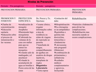 Niveles de Prevención
Periodo Pre patogénico

Periodo patogénico

PREVENCION PRIMARIA

PREVENCION PRIMARIA

PROMOCION Y
FOMENTO

PROTECCION
ESPECIFICA

Dx. Precoz y Tx.
Oportuno

•Limitación del
daño

Rehabilitación

Charlas de
concientización
Educación
sanitaria
Educación sobre
el proceso de
inmunización e
las vacunas.

erradicación do
mosquito
Anopheles
Durmiendo bajo
mosquiteras
Cubriendo las
ventanas de la
casa con mallas
para que no
entren los
mosquitos
Evitando salir de
madrugada y al
anochecer
Evitando la
acumulación de
agua en botellas o
Pozos cerca de las
casas

exame clínico,
resgatar
informações sobre
a área de
residência ou
relato de viagens
de exposição ao
parasita
transfusão de
sangue,
compartilhamento
de agulhas em
usuários de drogas
injetáveis,
transplante de
órgãos
Diagnóstico
Laboratorio
Gota espesa

Hospitalización
La cloroquina
es un antipalúdico
quinidina o
quinina más
doxiciclina,
tetraciclina o
clindamicina
 atovacuona
más proguanil
(Malarone)
combinación de
pirimetanina y
sulfadoxina
cuidados
médicos
complementarios
y agresivos,
incluyendo

•Nutrición e hidratación
para aliviar las
complicaciones.
•Rehabilitación mas
necesaria cuando se
ocurre complicaciones.

PREVENCION
PRIMARIA

 