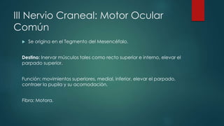 III Nervio Craneal: Motor Ocular
Común


Se origina en el Tegmento del Mesencéfalo.

Destino: Inervar músculos tales como recto superior e interno, elevar el
parpado superior.
Función: movimientos superiores, medial, inferior, elevar el parpado,
contraer la pupila y su acomodación.
Fibra: Motora.

 