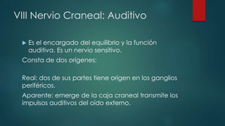 VIII Nervio Craneal: Auditivo


Es el encargado del equilibrio y la función
auditiva. Es un nervio sensitivo.

Consta de dos orígenes:
Real: dos de sus partes tiene origen en los ganglios
periféricos.
Aparente: emerge de la caja craneal transmite los
impulsos auditivos del oído externo.

 