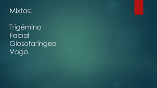 Mixtos:
Trigémino
Facial
Glosofaríngeo
Vago

 