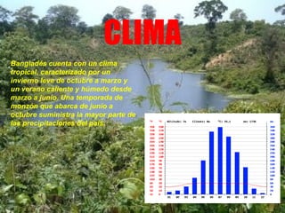 CLIMA
Bangladés cuenta con un clima
tropical, caracterizado por un
invierno leve de octubre a marzo y
un verano caliente y húmedo desde
marzo a junio. Una temporada de
monzón que abarca de junio a
octubre suministra la mayor parte de
las precipitaciones del país.
 