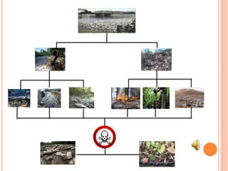 Practica 6 Autoformas