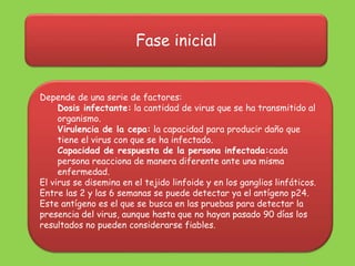 Fase inicial
Depende de una serie de factores:
Dosis infectante: la cantidad de virus que se ha transmitido al
organismo.
Virulencia de la cepa: la capacidad para producir daño que
tiene el virus con que se ha infectado.
Capacidad de respuesta de la persona infectada:cada
persona reacciona de manera diferente ante una misma
enfermedad.
El virus se disemina en el tejido linfoide y en los ganglios linfáticos.
Entre las 2 y las 6 semanas se puede detectar ya el antígeno p24.
Este antígeno es el que se busca en las pruebas para detectar la
presencia del virus, aunque hasta que no hayan pasado 90 días los
resultados no pueden considerarse fiables.
 