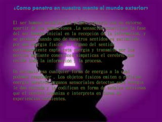 ¿Como penetra en nuestra mente el mundo exterior?
El ser humano establece el primer contacto con su entorno
apartir de las sensaciones .La sensación constituye la fase
del ser humano inicial en la recepción de la información, y
se produce cuando uno de nuestros sentidos es estimulado
por una energía física. El órgano del sentido
correspondiente capta esta energía y transmite por los
nervios mediante conexiones simpáticas el cerebro, que
recibe toda la información y la procesa.
Un estimulo esa cualquier forma de energía a la cual
podemos responder . Los objetos físicos emiten o reflejan
energía nuestros órganos sensoriales detectan esta energía
le dan entrada y la codifican en forma de señales nerviosas
que el cerebro organiza e interpreta en forma de
experiencias consientes.
 