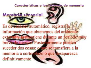 Características e los sistemas de memoria
Memoria sensorial:
Es de carácter automático, registra la
información que obtenemos del ambiente
externo y la mantiene durante un periodo muy
breve de tiempo. Posteriormente pueden
suceder dos cosas: o que se transfiera a la
memoria a corto plazo o que desaparezca
definitivamente
 