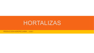HORTALIZAS
PRODUCCIONAGROPECUARIA ... ciclo I
 