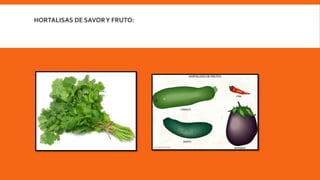 HORTALISAS DE SAVORY FRUTO: