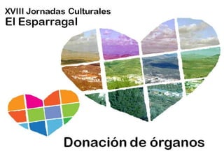 XVIII Jornadas Culturales
El Esparragal
Donación de órganos
Donación de órganos
XVIII Jornadas Culturales
El Esparragal
 