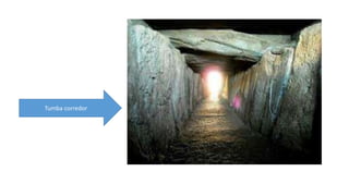 Tumba corredor 
 