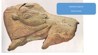 Paleolítico Superior 
Bisonte (asta) 
 