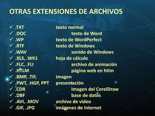 OTRAS EXTENSIONES DE ARCHIVOS 
 .TXT texto normal 
 .DOC texto de Word 
 .WP texto de WordPerfect 
 .RTF texto de Windows 
 .WAV sonido de Windows 
 .XLS, .WK1 hoja de cálculo 
 .FLC, .FLI archivo de animación 
 .HTLM página web en htlm 
 .BMP, .TIF, imagen 
 .PWT, .HGP, PPT presentación 
 .CDR imagen del CorelDraw 
 .DBF base de datos 
 .AVI, .MOV archivo de video 
 .GIF, .JPG imágenes de Internet 
 