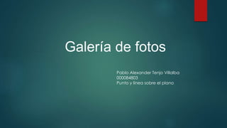 Galería de fotos 
Pablo Alexander Tenjo Villalba 
000084803 
Punto y linea sobre el plano 
 