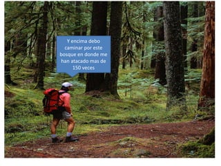 Y encima debo 
caminar por este 
bosque en donde me 
han atacado mas de 
150 veces 
 