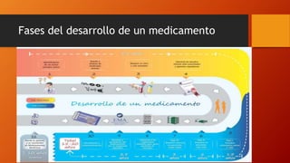 Fases del desarrollo de un medicamento 
