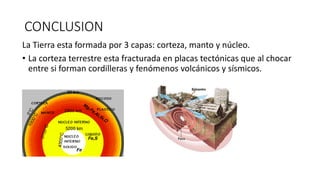 CONCLUSION
La Tierra esta formada por 3 capas: corteza, manto y núcleo.
• La corteza terrestre esta fracturada en placas tectónicas que al chocar
entre si forman cordilleras y fenómenos volcánicos y sísmicos.