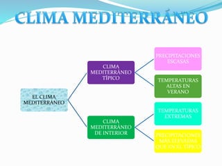 EL CLIMA 
MEDITERRÁNEO 
CLIMA 
MEDITERRÁNEO 
TÍPICO 
PRECIPITACIONES 
ESCASAS 
TEMPERATURAS 
ALTAS EN 
VERANO 
CLIMA 
MEDI...