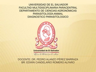 UNIVERSIDAD DE EL SALVADOR
FACULTAD MULTIDISCIPLINARIA PARACENTRAL
DEPARTAMENTO DE CIENCIAS AGRONÓMICAS
PARASITOLOGÍA ANIMAL
DIAGNOSTICO PARASITOLOGICO
DOCENTE: DR. PEDRO ALANZO PÉREZ BARRAZA
BR: EDWIN CANDELARIO ROMERO ALFARO
 
