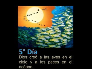 Dios creó a las aves en el
cielo y a los peces en el
océano.
 