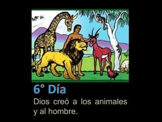 Dios creó a los animales
y al hombre.
 