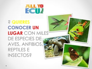 ? QUIERES
CONOCER UN
LUGAR CON MILES
DE ESPECIES DE
AVES, ANFIBIOS,
REPTILES E
INSECTOS?
 