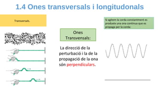 1.4 Ones transversals i longitudonals
Transversals. Si agitem la corda constantment es
produeix una ona continua que es
pr...