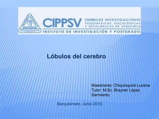 Lóbulos del cerebro
Maestrante: Chiquinquirá Lucena
Tutor: M.Sc. Brayner López
Sarmiento
Barquisimeto, Junio 2015
 