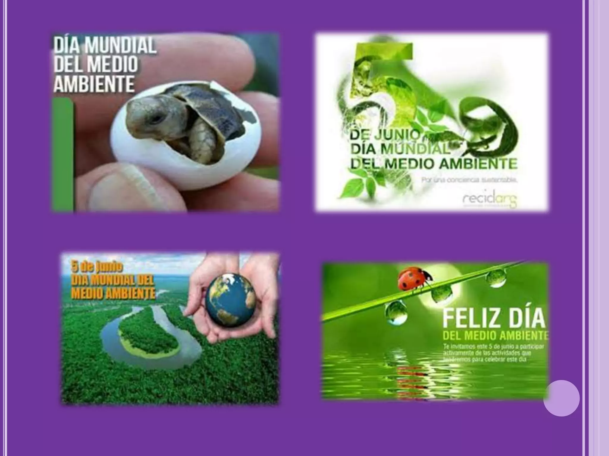 DÍA DEL MEDIO AMBIENTE