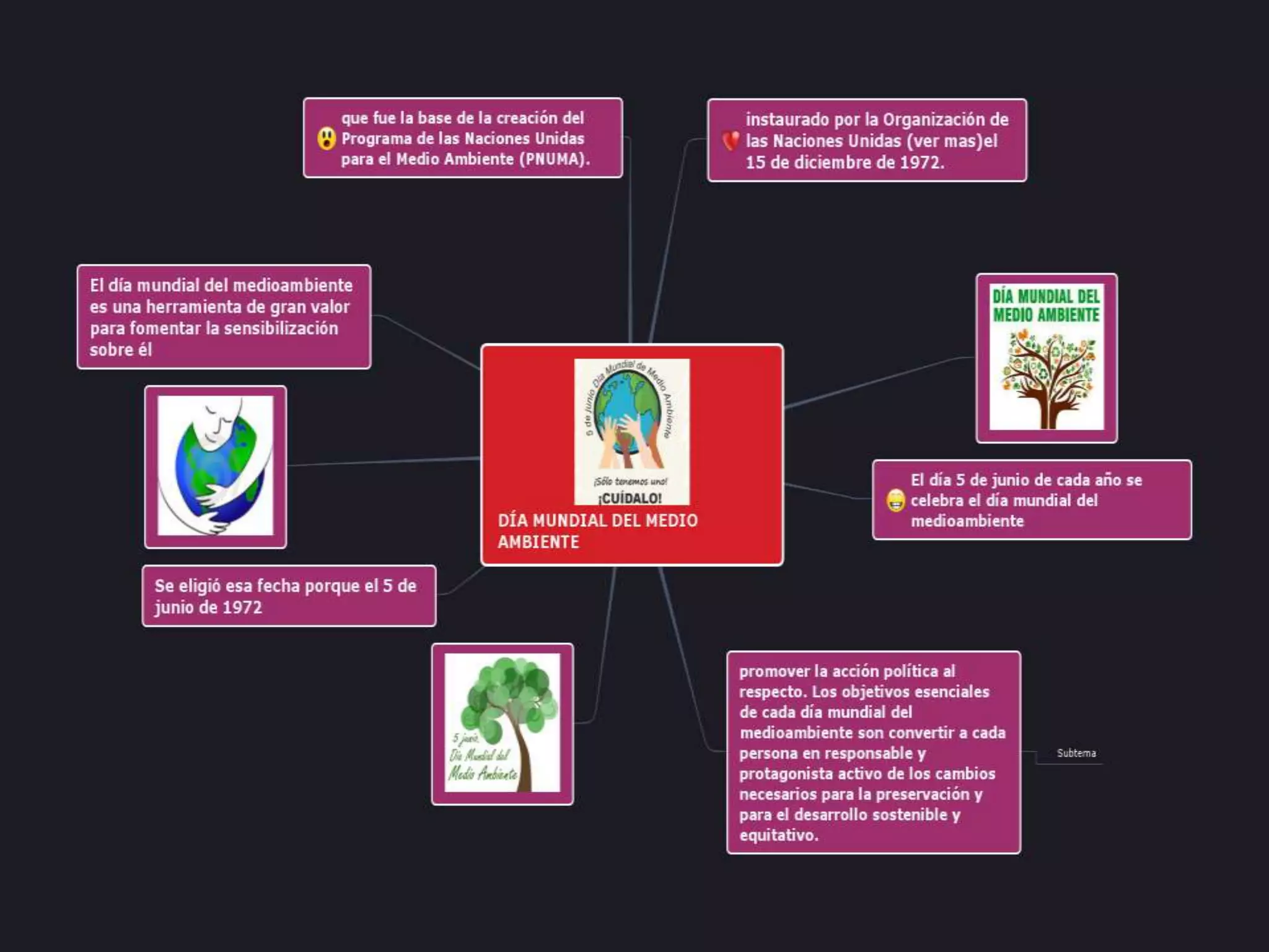 DÍA DEL MEDIO AMBIENTE