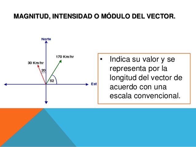 Características de un vector