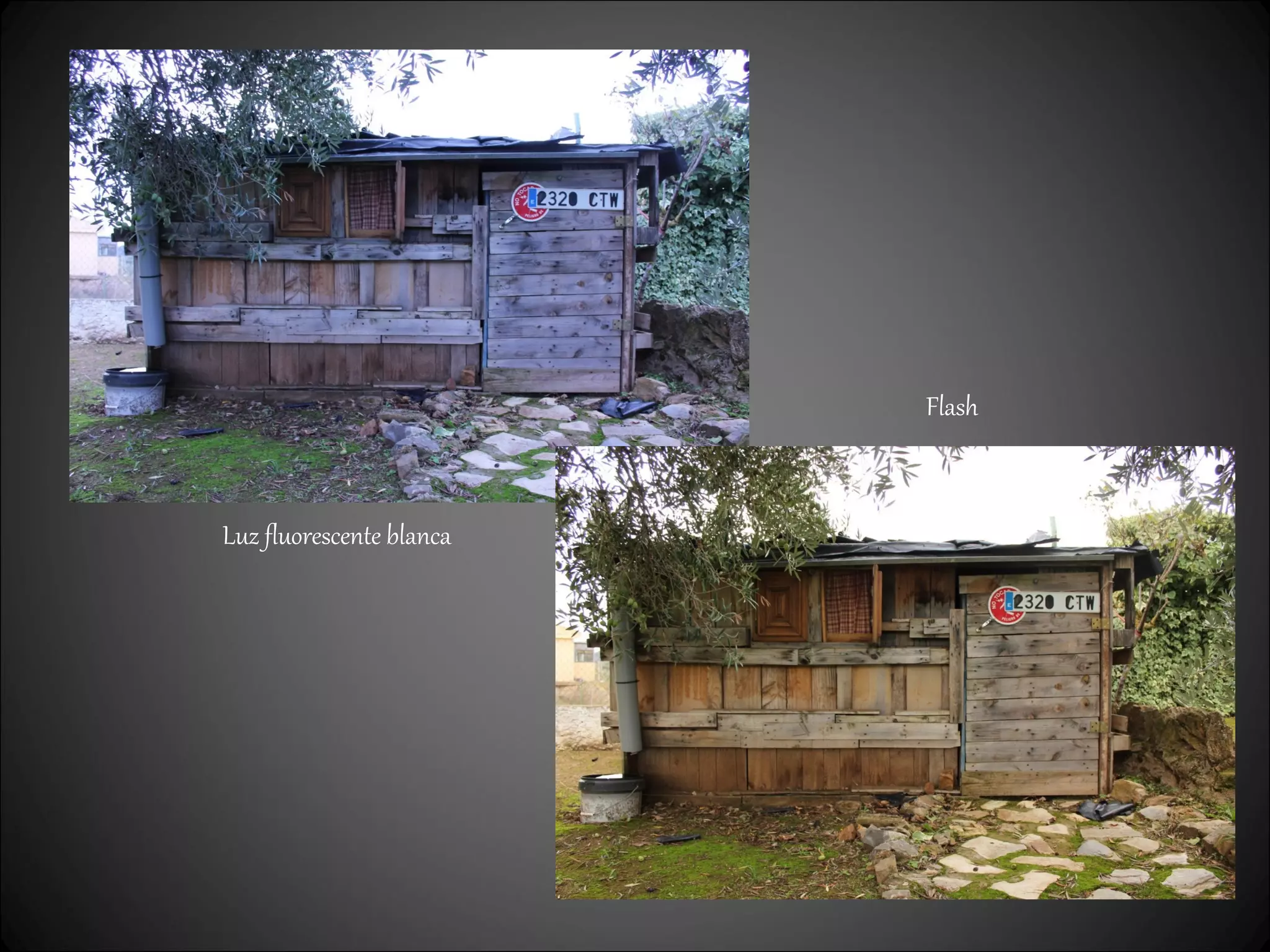 Luz fluorescente blanca
Flash
 