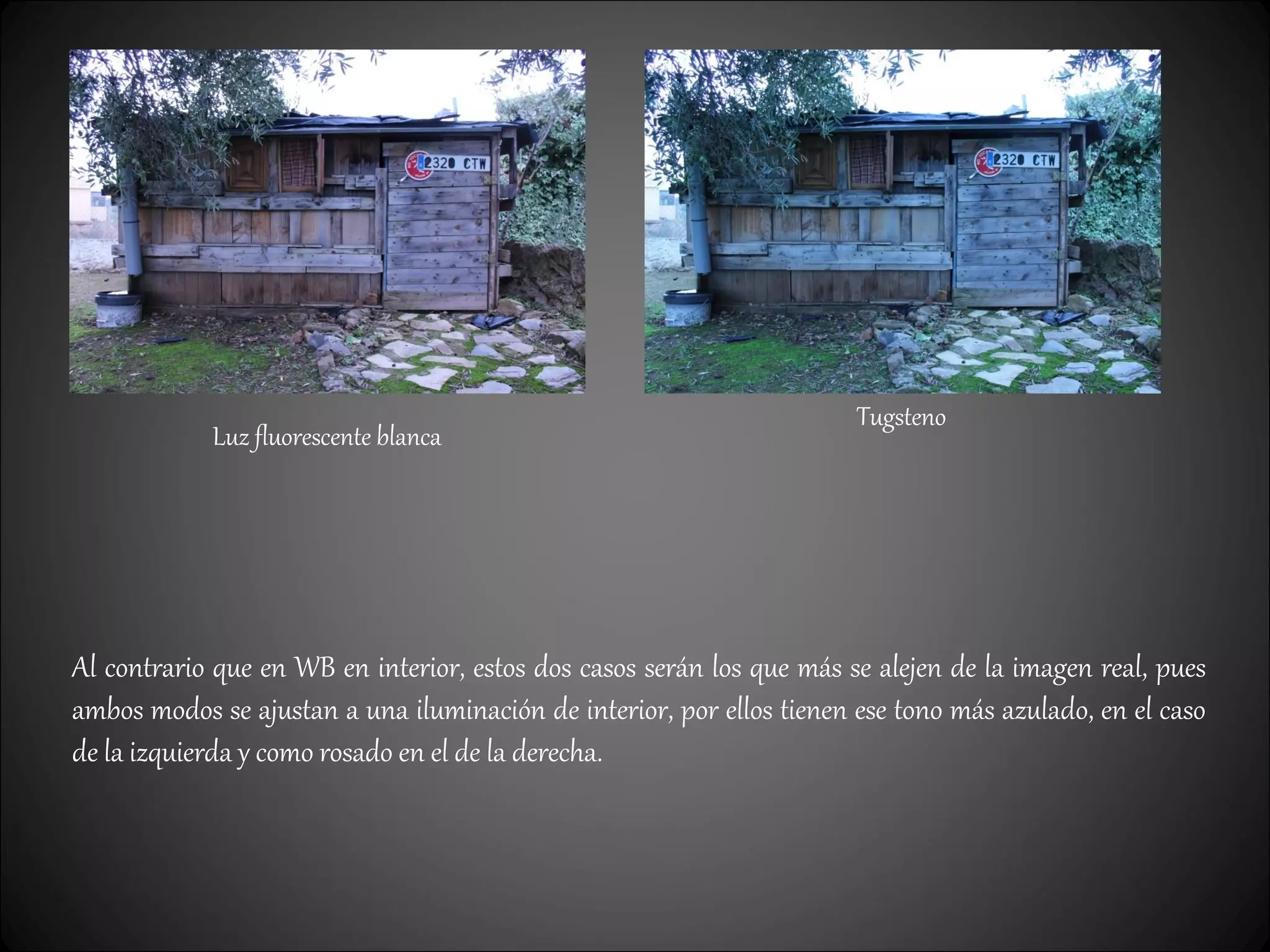 Tugsteno
Luz fluorescente blanca
Al contrario que en WB en interior, estos dos casos serán los que más se alejen de la imagen real, pues
ambos modos se ajustan a una iluminación de interior, por ellos tienen ese tono más azulado, en el caso
de la izquierda y como rosado en el de la derecha.
 